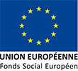 logo Fonds Social Européen